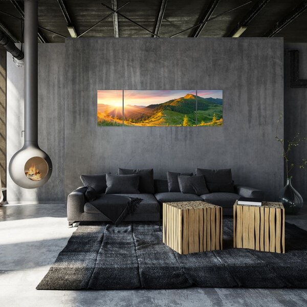 Obraz - Letní krajina (170x50 cm)