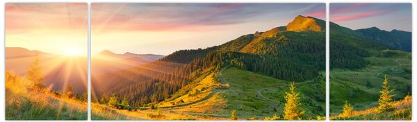 Obraz - Letní krajina (170x50 cm)