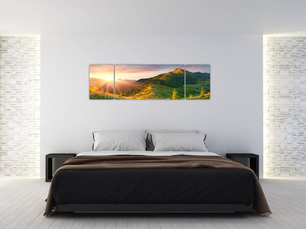 Obraz - Letní krajina (170x50 cm)