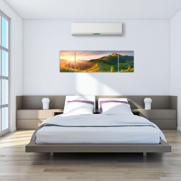 Obraz - Letní krajina (170x50 cm)