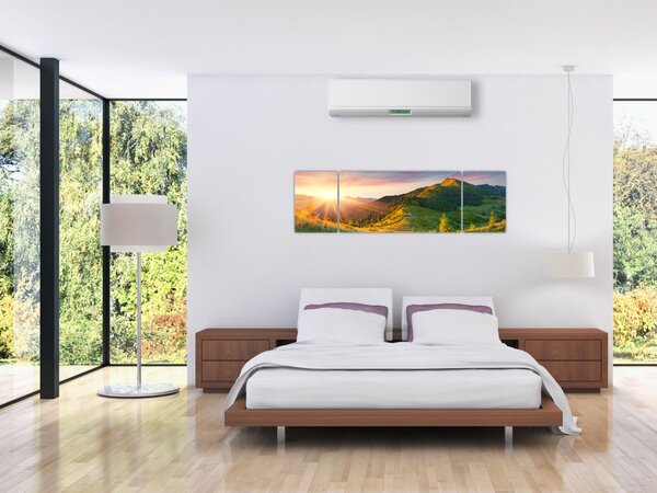 Obraz - Letní krajina (170x50 cm)