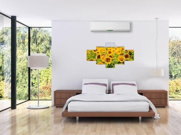 Obraz - Slunečnice (125x70 cm)