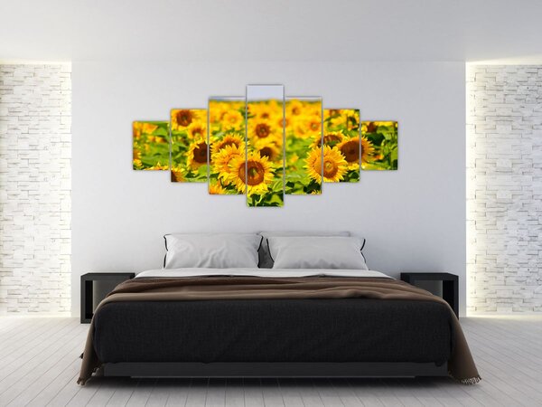 Obraz - Slunečnice (210x100 cm)