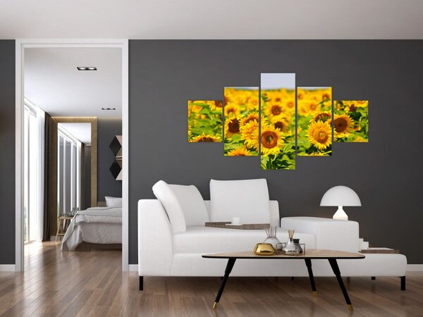Obraz - Slunečnice (125x70 cm)