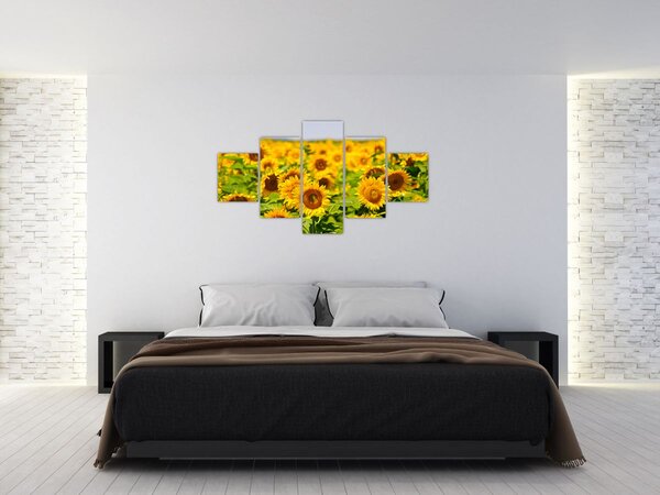 Obraz - Slunečnice (125x70 cm)