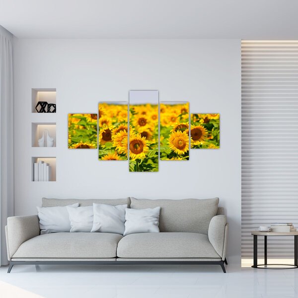 Obraz - Slunečnice (125x70 cm)