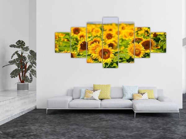 Obraz - Slunečnice (210x100 cm)