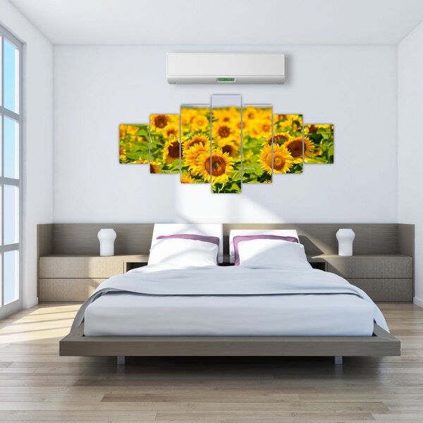 Obraz - Slunečnice (210x100 cm)