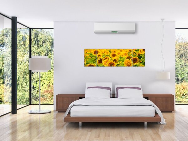 Obraz - Slunečnice (170x50 cm)