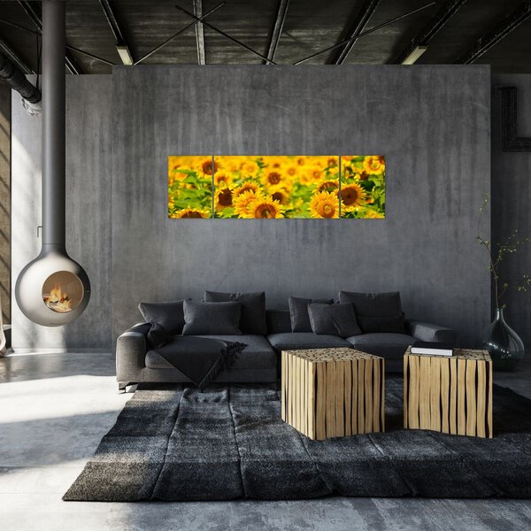 Obraz - Slunečnice (170x50 cm)