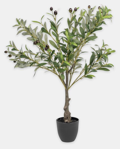 Sinsay - Decorative plant in a pot - zelená
