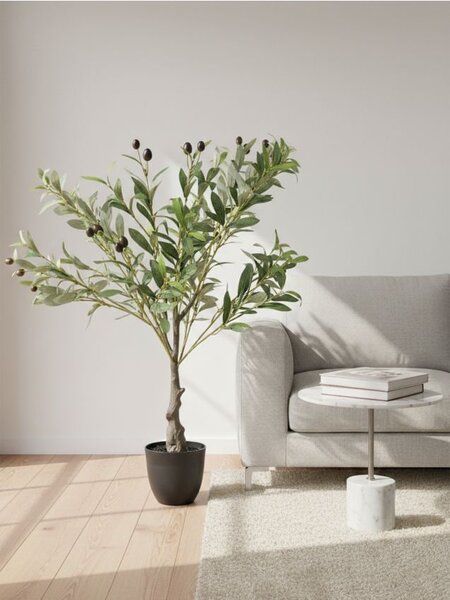 Sinsay - Decorative plant in a pot - zelená