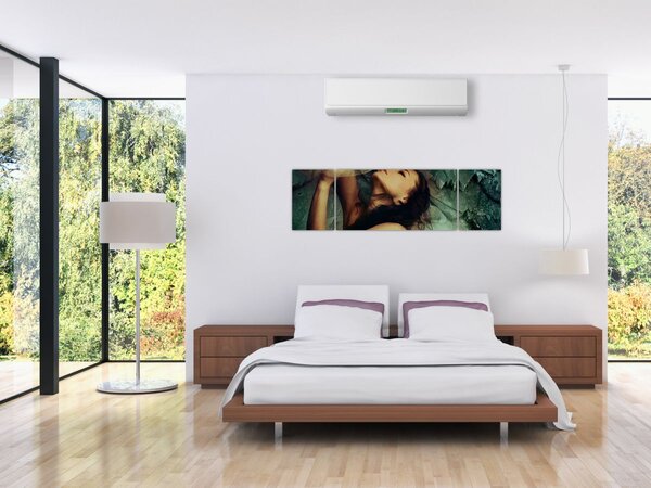Obraz - Múza (170x50 cm)