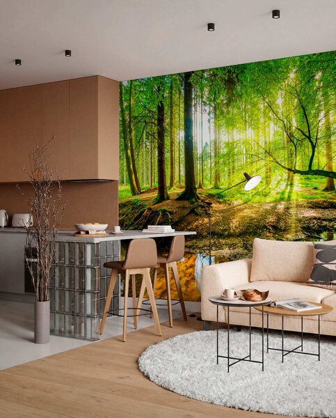 Fototapety Průhlednost lesního potoka, Fototapety příroda, u93621 : uwalls.cz