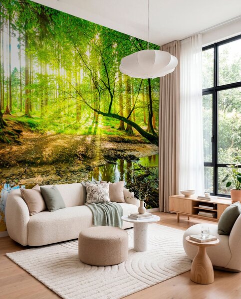 Fototapety Průhlednost lesního potoka, Fototapety příroda, u93621 : uwalls.cz