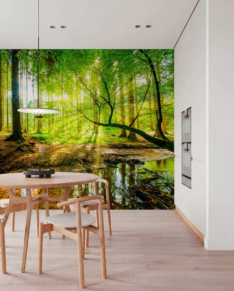 Fototapety Průhlednost lesního potoka, Fototapety příroda, u93621 : uwalls.cz