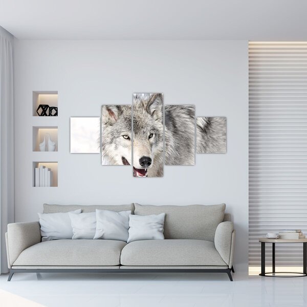 Obraz - Vlk v přírodě (125x70 cm)