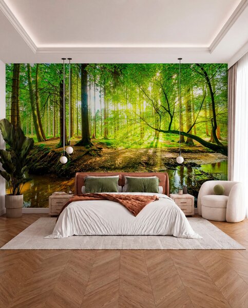 Fototapety Průhlednost lesního potoka, Fototapety příroda, u93621 : uwalls.cz