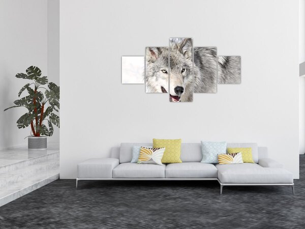 Obraz - Vlk v přírodě (125x70 cm)