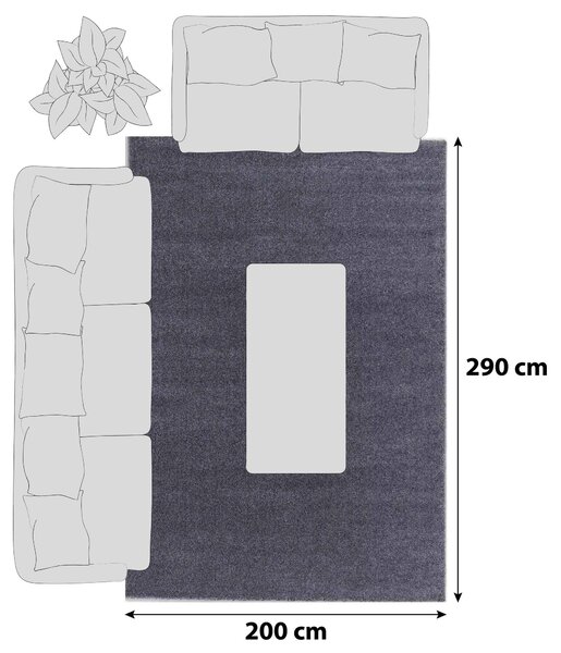 KOBEREC S VYSOKÝM VLASEM, 200/290 cm, antracitová Schöner Wohnen - Koberce vysoký vlas