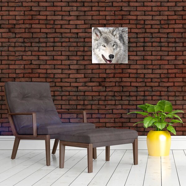 Obraz - Vlk v přírodě (30x30 cm)