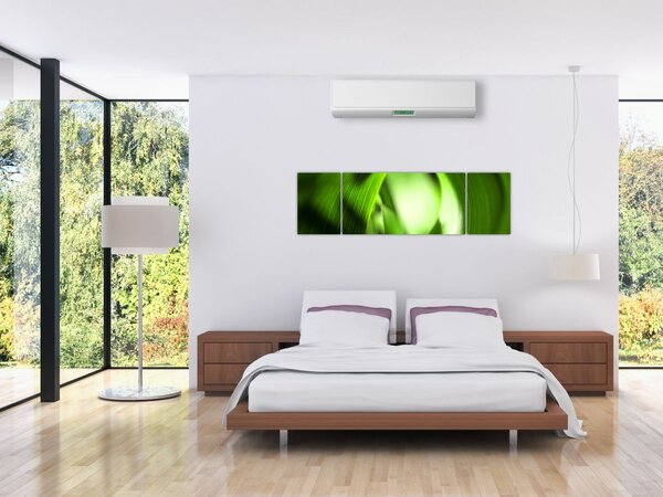 Obraz - Stéblo trávy (170x50 cm)