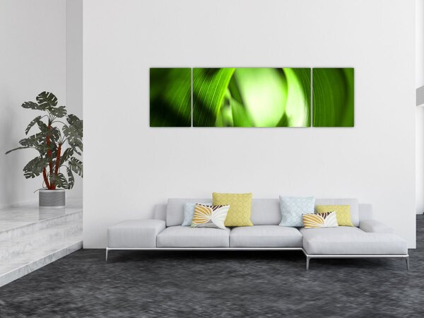 Obraz - Stéblo trávy (170x50 cm)