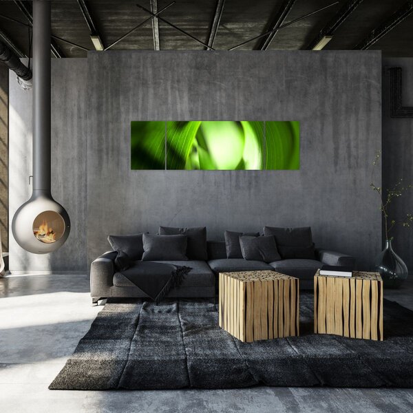 Obraz - Stéblo trávy (170x50 cm)