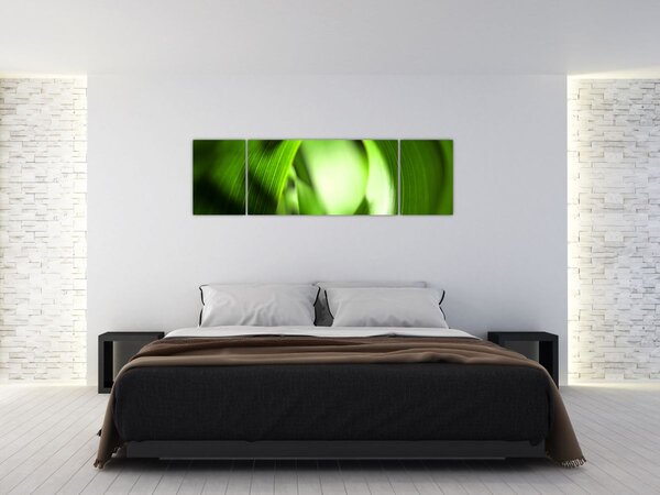 Obraz - Stéblo trávy (170x50 cm)