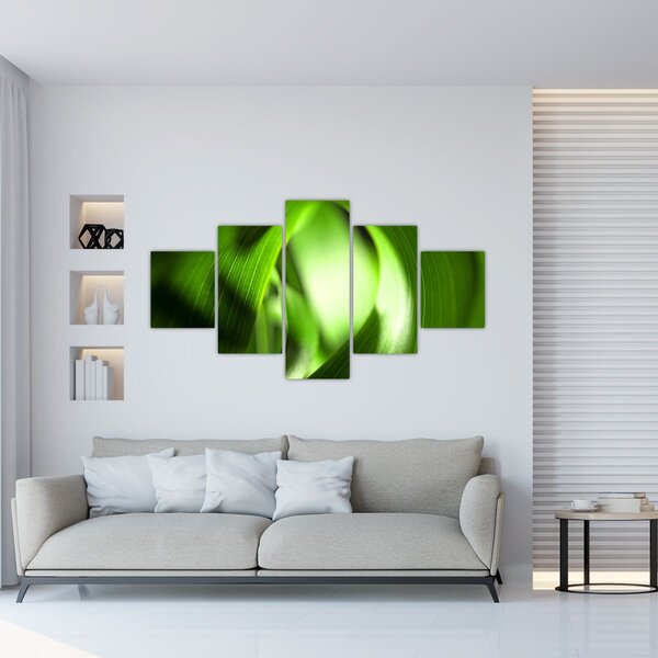 Obraz - Stéblo trávy (125x70 cm)