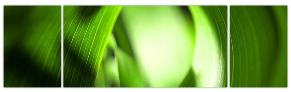 Obraz - Stéblo trávy (170x50 cm)