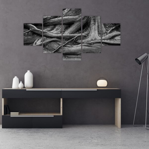 Obraz - Kořeny stromu (125x70 cm)