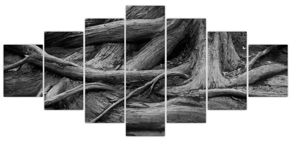 Obraz - Kořeny stromu (210x100 cm)