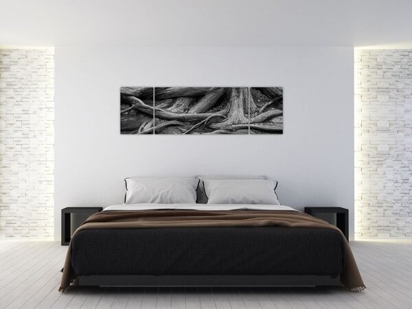 Obraz - Kořeny stromu (170x50 cm)