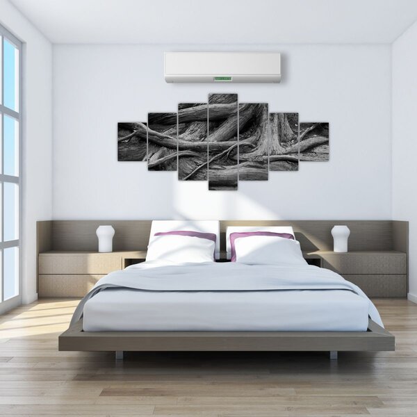 Obraz - Kořeny stromu (210x100 cm)