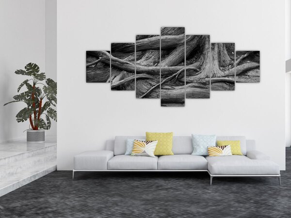 Obraz - Kořeny stromu (210x100 cm)