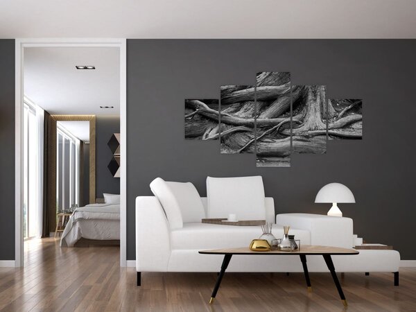 Obraz - Kořeny stromu (125x70 cm)