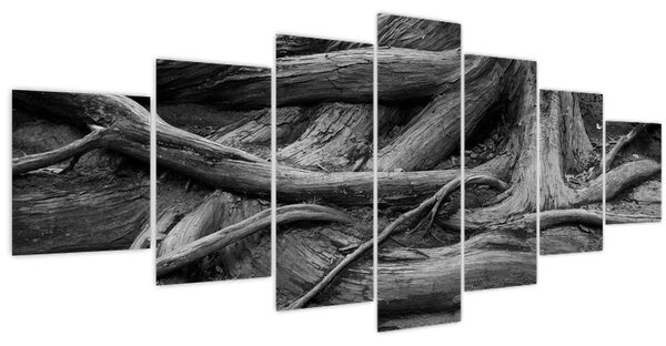 Obraz - Kořeny stromu (210x100 cm)