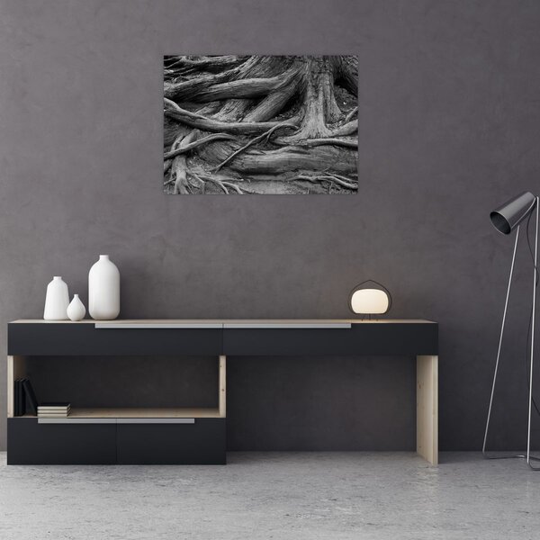 Obraz - Kořeny stromu (70x50 cm)