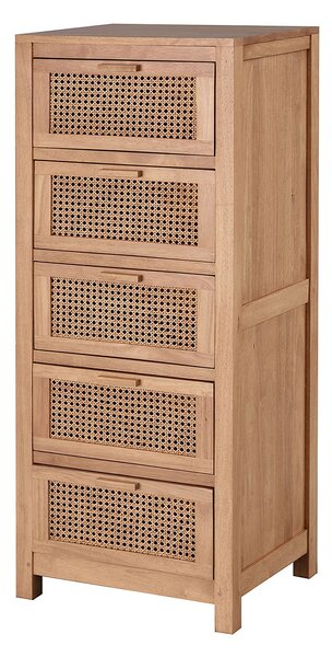 Knihovna Agra 50x40x120cm