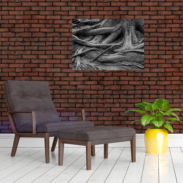 Obraz - Kořeny stromu (70x50 cm)