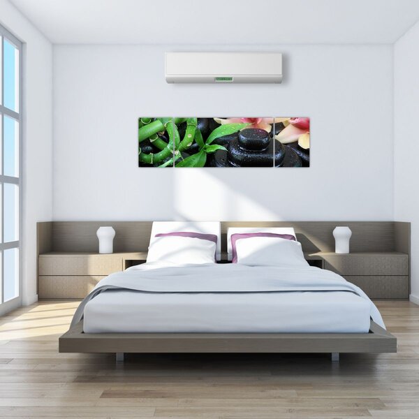 Obraz - Kameny a orchideje (170x50 cm)