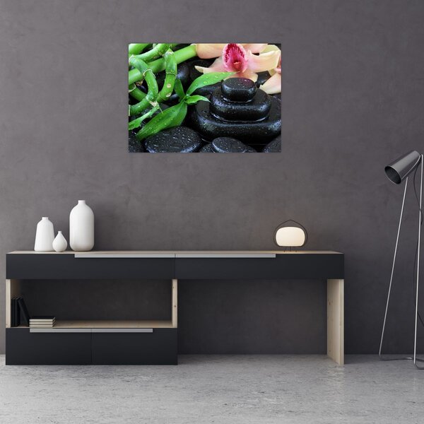 Obraz - Kameny a orchideje (70x50 cm)