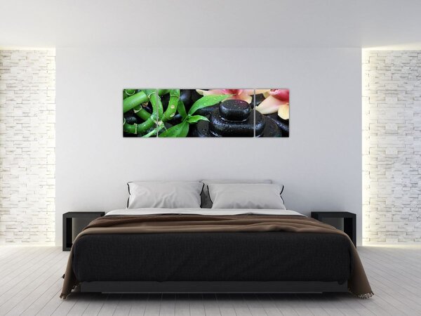 Obraz - Kameny a orchideje (170x50 cm)