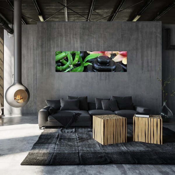 Obraz - Kameny a orchideje (170x50 cm)
