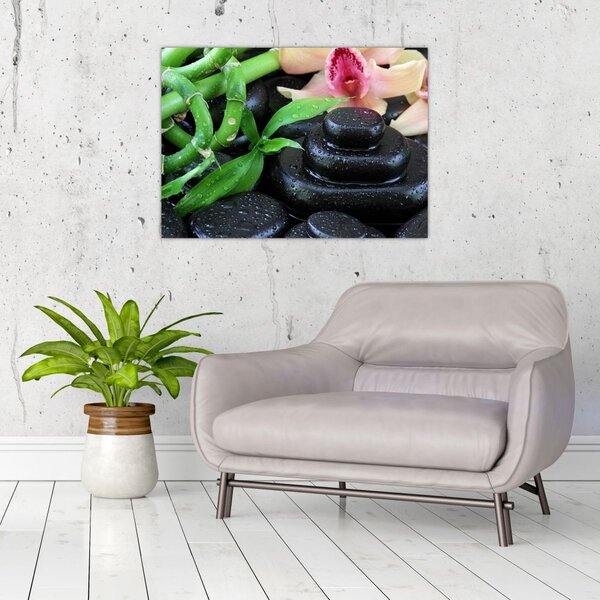 Obraz - Kameny a orchideje (70x50 cm)