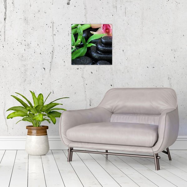 Obraz - Kameny a orchideje (30x30 cm)