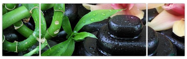 Obraz - Kameny a orchideje (170x50 cm)