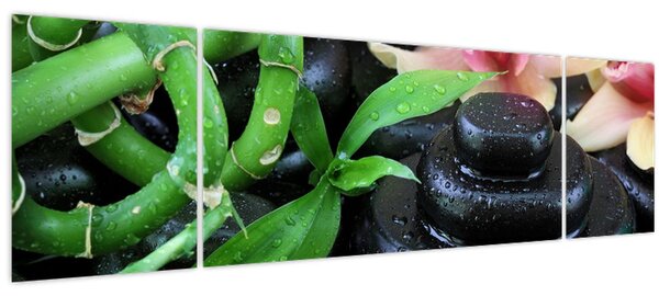 Obraz - Kameny a orchideje (170x50 cm)