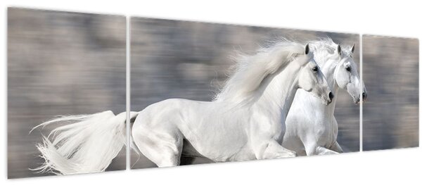 Obraz - Bílí koně v zimě (170x50 cm)